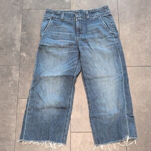 Anthropologie Pilcro Wide Leg Crop Jeans 29